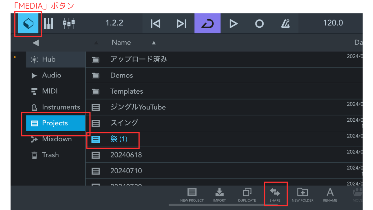 Cubasis のMedia表示