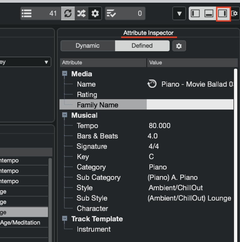 MediaBay 右側のアトリビュートエリア