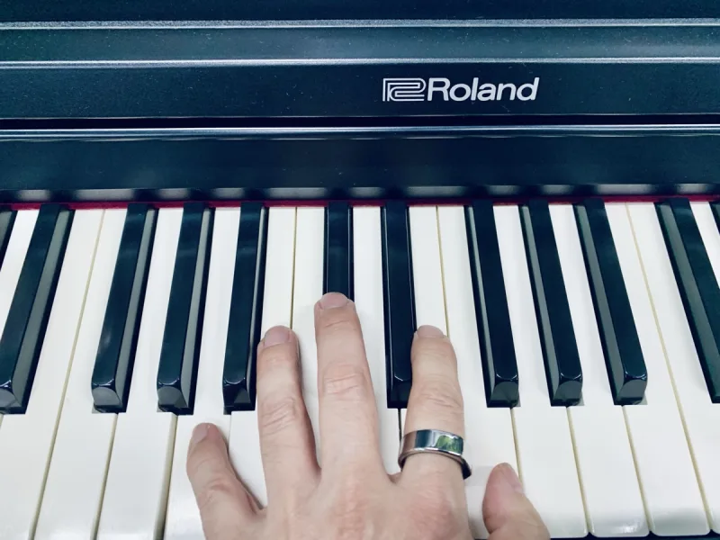 RolandFP-10